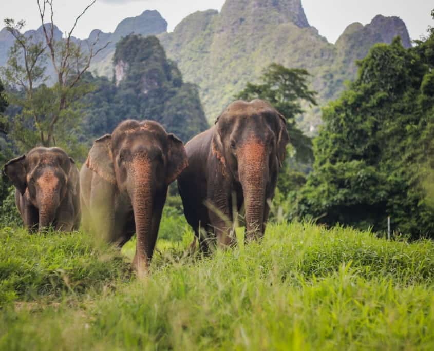 Seasonal Wonders Seasonal Wonders