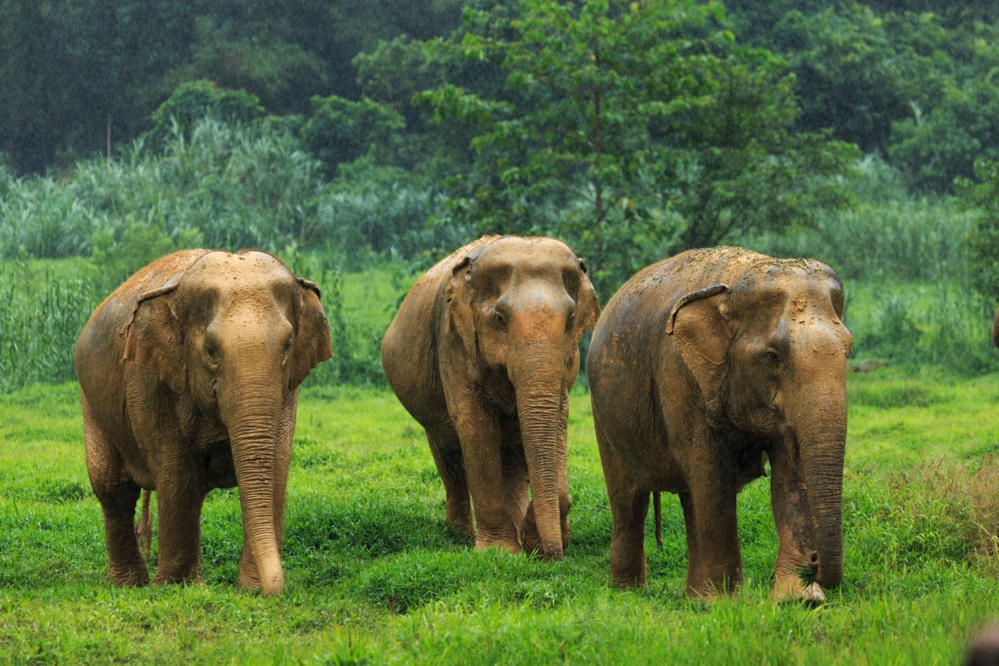 44sSBttt 44sSBttt scaled