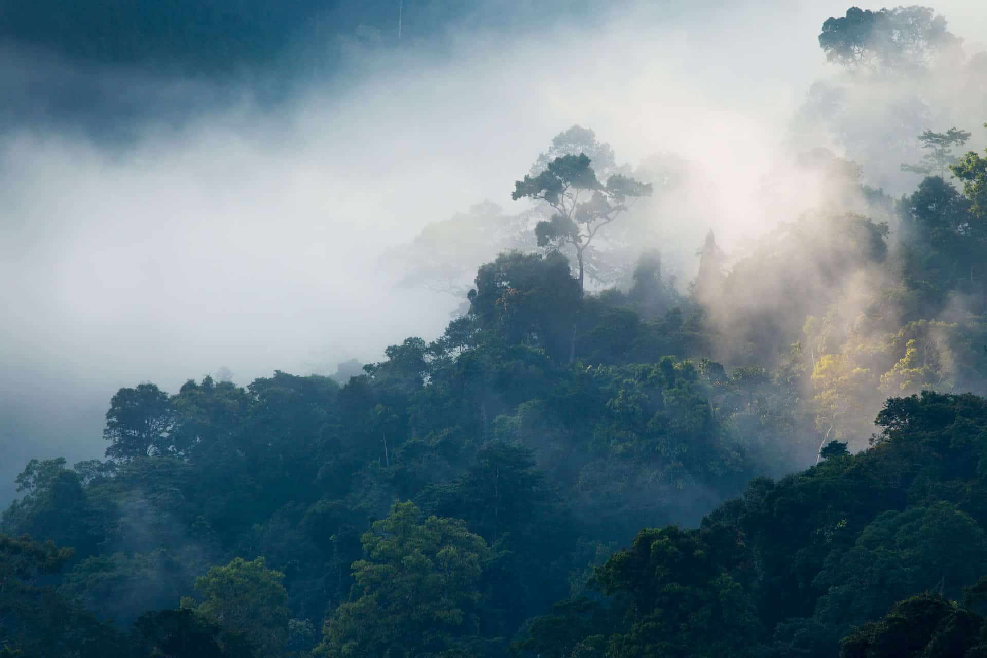 the Sun is rising up to meet the sky the Sun is rising up to meet the sky