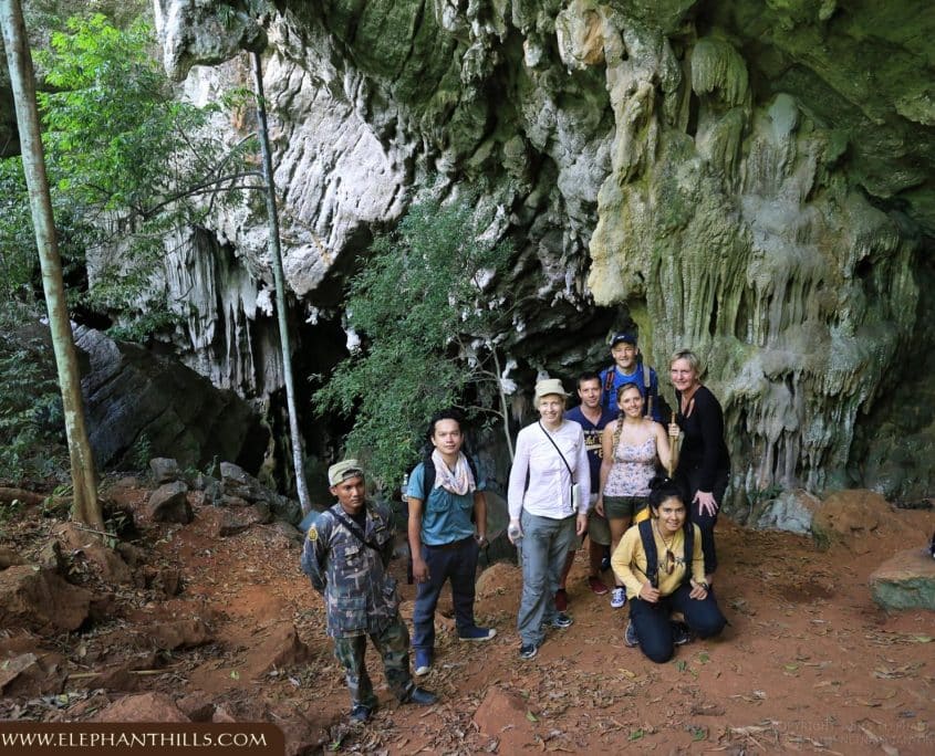 Cave group Rainforest Jungle Khaosok National Park Elephant Hills Cave group Rainforest Jungle KhaoSokNationalPark ElephantHills