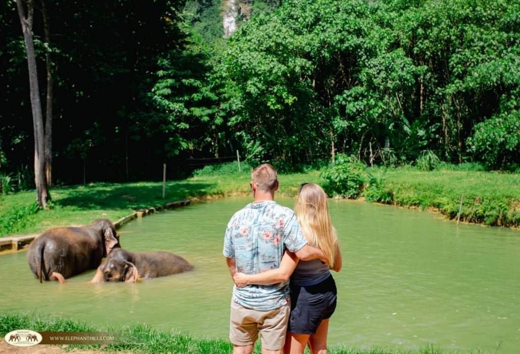 The Green Heart of Thailand: Khao Sok is the Country’s Best Kept Secret 8 Couples Adventure