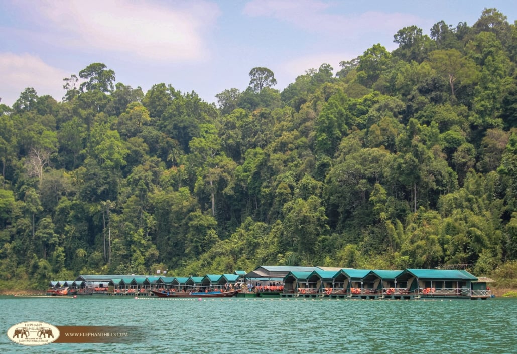 A Beginner’s Guide to Exploring Khao Sok National Park 5 IMG 2855