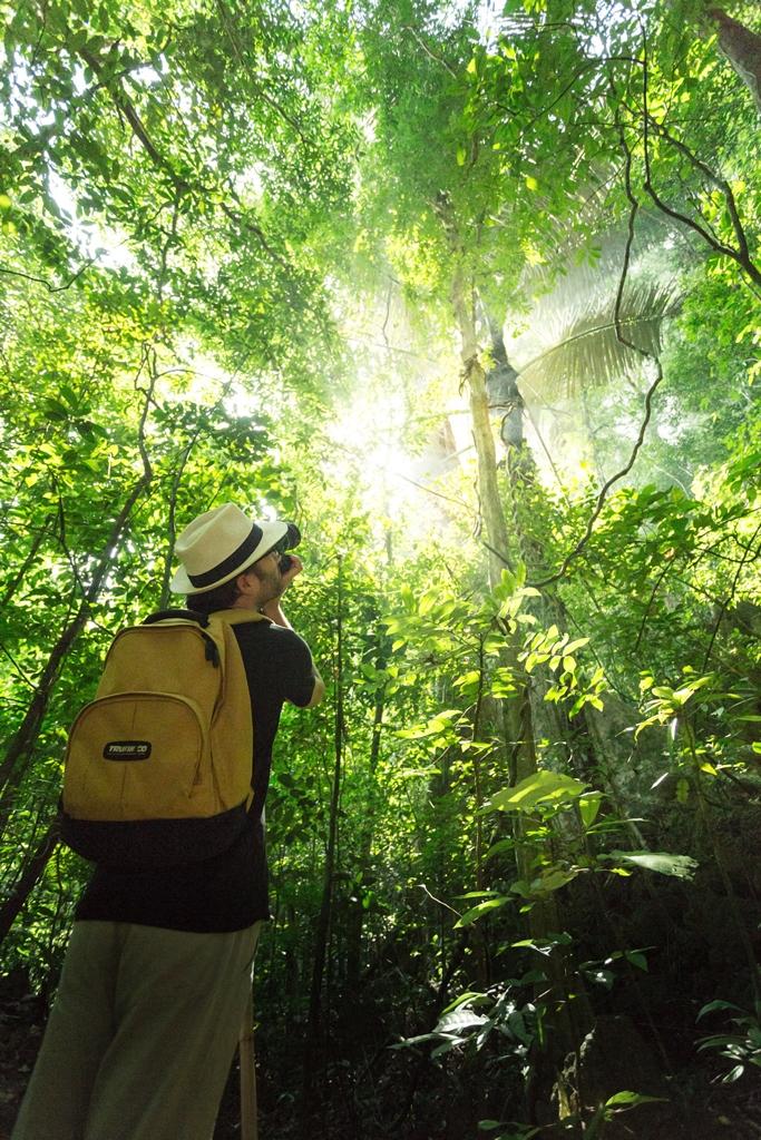 Facts 7 Facts about Khao Sok’s flora, over 200 species of plant in one hectare.