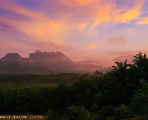 Khao Sok National Park
