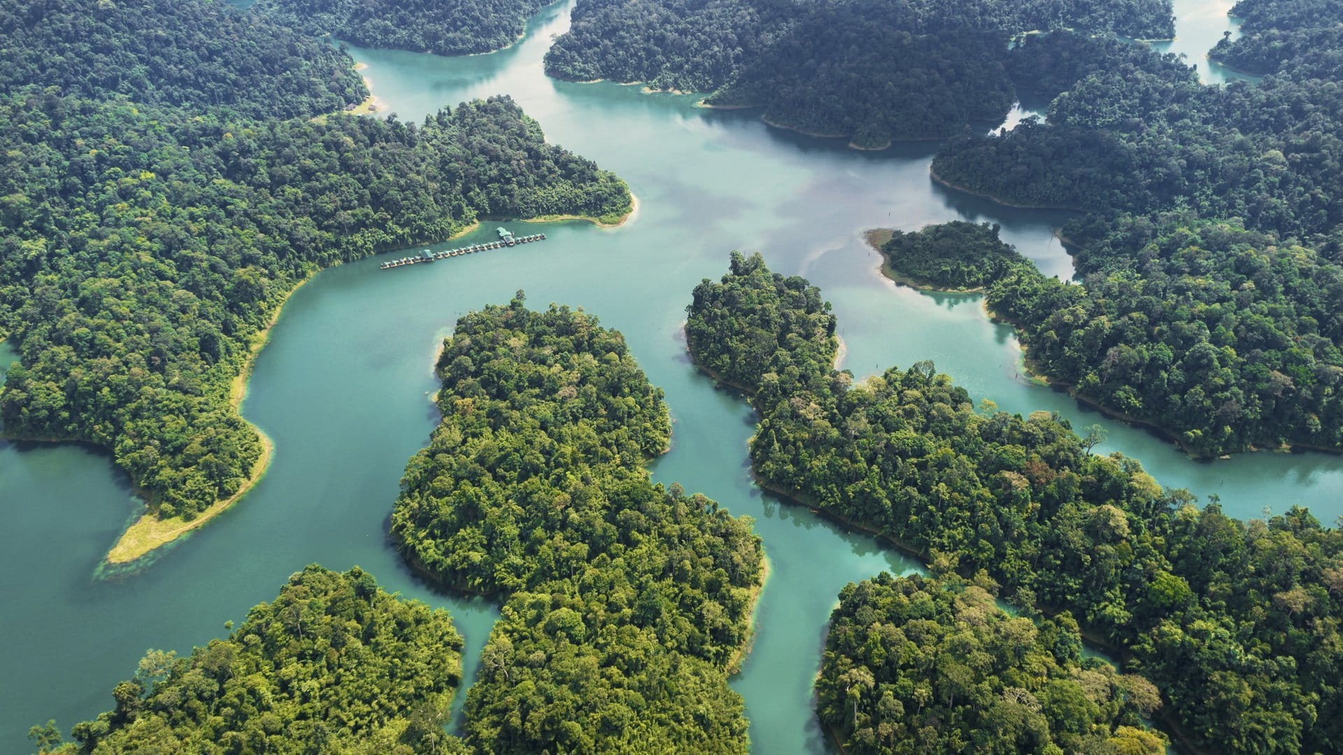 Khao Sok National Park - the world’s oldest Rainforest Khao Sok National Park the world’s oldest Rainforest