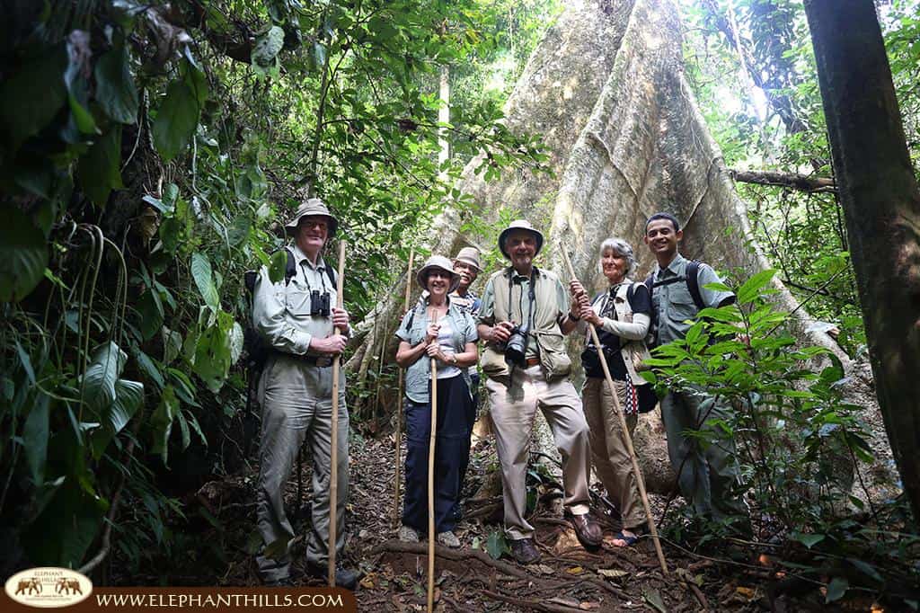 Rewilding Adventures: How Khao Sok is Leading the Way in Eco-Tourism 6 Older people at Elephant Hills