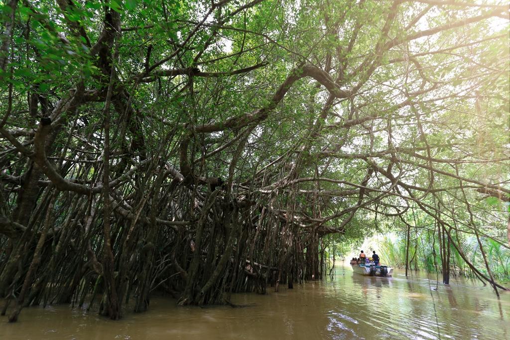 Nature Safari Nature Safari